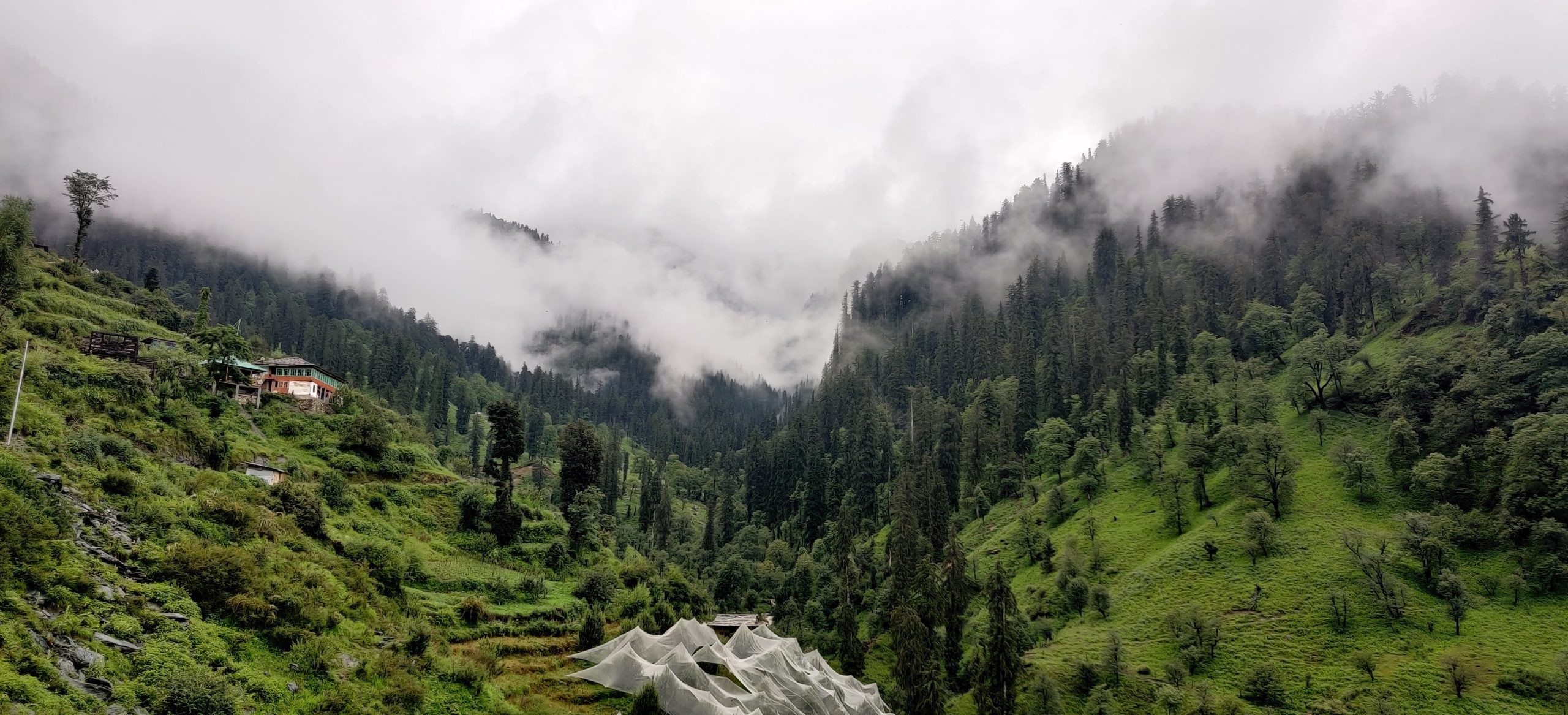 Panaromic view in Jibhi, lush green mountains